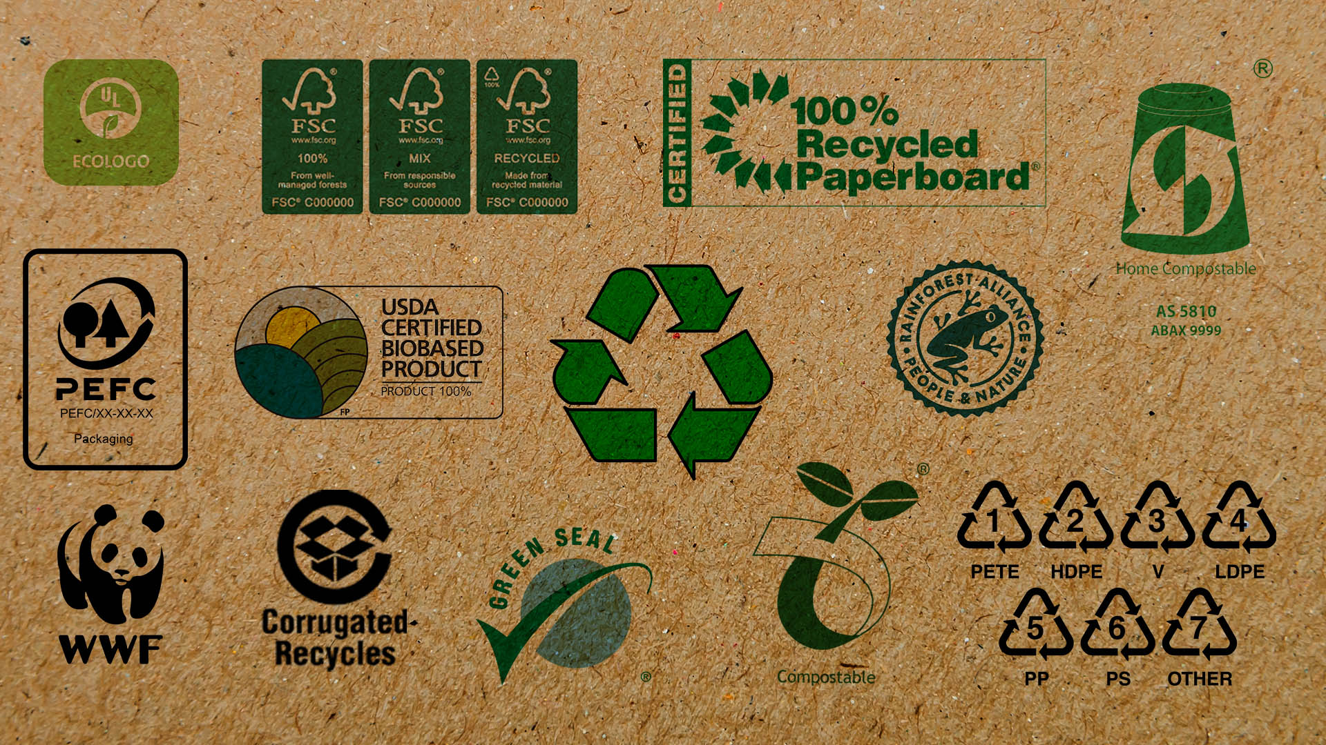 What Are Eco-Friendly Plastics and How Are They Recycled?